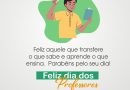 Uma Homenagem às Estrelas de Matias Olímpio: Professores Desfrutam de Tutóia
